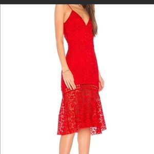 NWT Karina Grimaldi dress